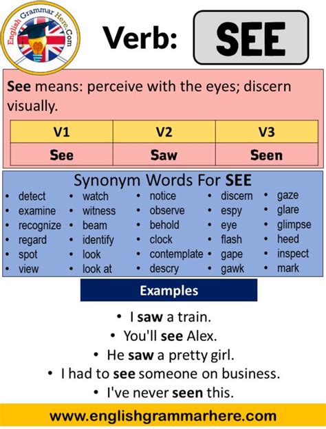 pastence of see|see past meaning.